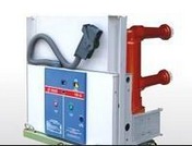 固封極柱式真空段斷路器有哪些類(lèi)型？